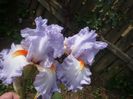 P1410040