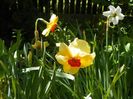 9 mai (56)