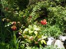 9 mai (65)