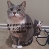 7B96C8C2-6EC7-412E-B9F1-B5230062C061