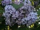 20190513_190300 (1)