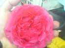 IMG00204[1]