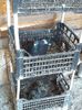 IMG-20190512-WA0017
