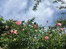 F2B63828-E32B-4FAB-9EFF-D457A26CE956