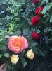 0C434B81-FA53-4CB7-A7E1-FC5836329F47