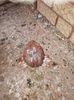 IMG-20190418-WA0004