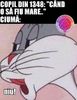312F9A11-B6B3-48BD-BD51-532C0EC07FD2
