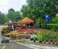 20190518_121219 (3)