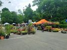 20190518_121255 (2)