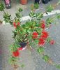 20190518_121546 (3)