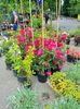 20190518_121608 (2)