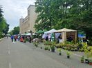 20190518_122413 (2)