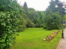 20190518_122437 (2)