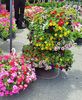 20190518_130610 (4)