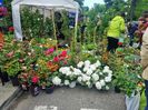 20190518_114937 (2)