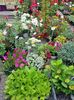 20190518_115044 (2)
