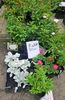 20190518_115422 (3)