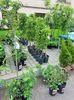 20190518_115642 (2)