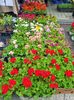 20190518_115758 (2)