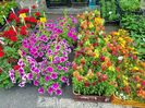 20190518_115814 (2)