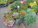 20190518_120954 (2)