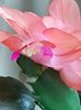 thumbnail (35)
