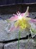 Photo0819