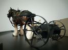 Cal Clydesdale cu risipitoare
