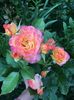 A8DD2D97-5E73-4343-BDC8-CA605F1FC11B