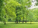 Montaj fototapet Bucuresti, ablo.ro (400)