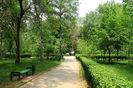 Montaj fototapet Bucuresti, ablo.ro (655)