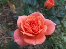 IMG-20190527-WA0051