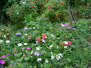 DSC01604