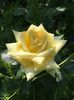 88E64ED1-6635-407B-BA28-D9FE37D82955