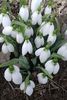 IMG-20190301-WA0000