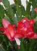 thumbnail - 2019-05-25T194107.856