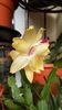 thumbnail - 2019-05-31T221435.699