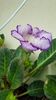 thumbnail - 2019-06-01T203827.480