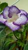 thumbnail - 2019-06-01T203834.693