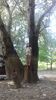IMG-20190602-WA0078