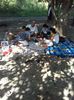 IMG-20190602-WA0075