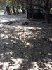 IMG-20190602-WA0074