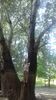 IMG-20190602-WA0071