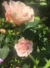 BBFC320F-0343-45F7-BFC3-523C46C792B5