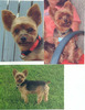 rocky080208