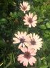 894ACDA3-82C3-4125-B98D-1B72AAEC9303