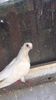 received_1830757716969989