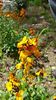 IMG-20190607-WA0011