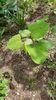 IMG-20190607-WA0012
