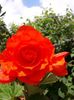 IMG-20190601-WA0001
